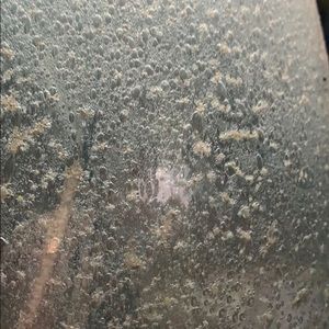 Meet your Posher, Teri